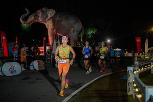 BIB: 
                            <button type="button" onclick="openModal(26551814)" class="btn btn-primary btn-sm float-right btn-popup" data-toggle="modal" data-target=".modal-high-quality">
                        <i class="fas fa-shopping-cart"></i> Add to Cart
                    </button>
                                            <button type="button" onclick="isThisMe(26551814, true)" class="btn btn-success btn-sm float-right btn-popup btn-isme hidden" data-toggle="tooltip" data-placement="bottom" title="นี่คือรูปของคุณใช่ไหม คลิกที่นี่เพื่อเอาเข้าอัลบั้ม">
                        <i class="fas fa-plus"></i> Add to album
                    </button>
                    <button type="button" onclick="isThisMe(26551814, false)" class="btn btn-warning btn-sm float-right btn-popup btn-isnotme hidden">
                        <i class="fas fa-ban"></i> Remove from album
                    </button>